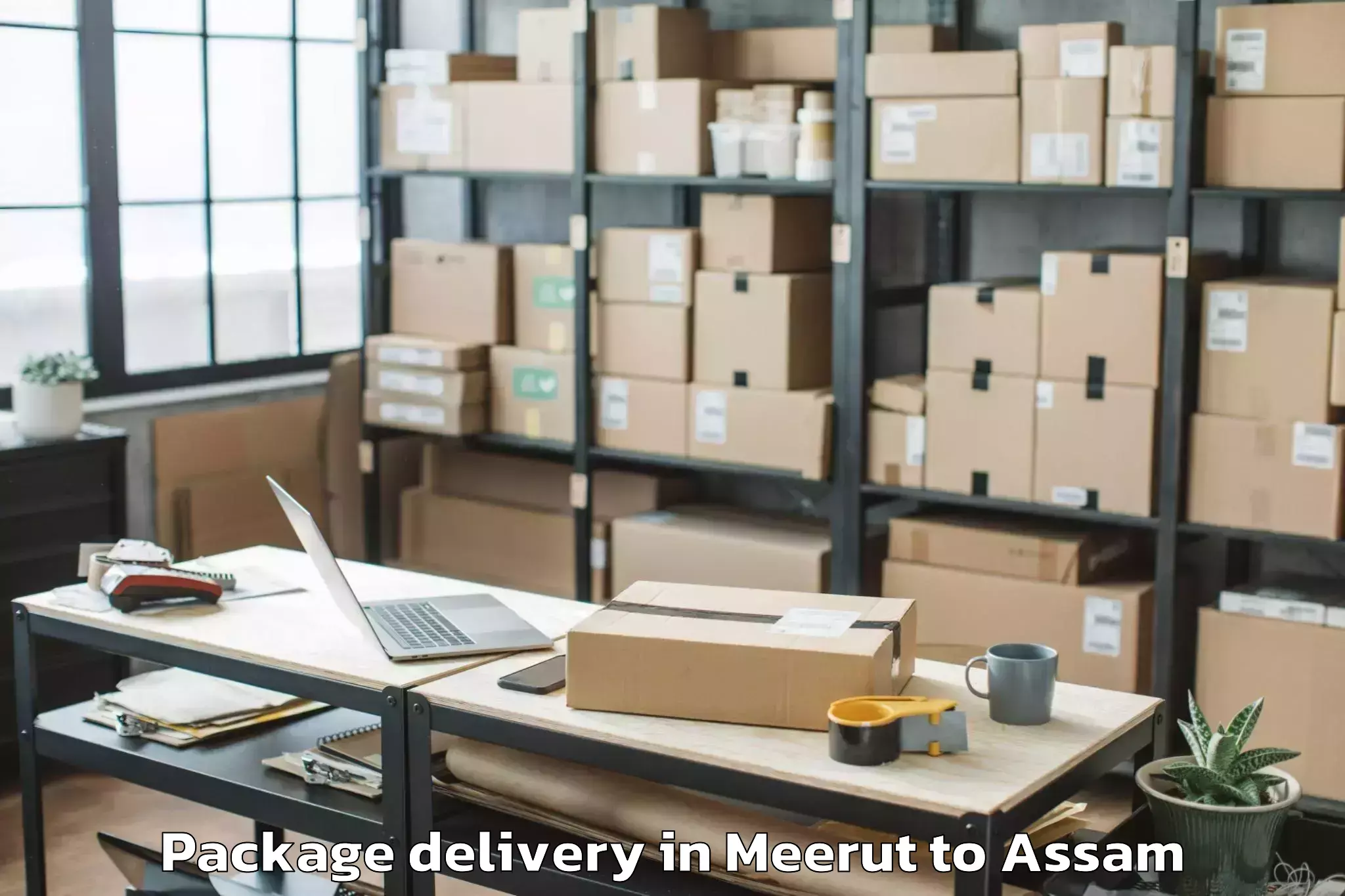 Hassle-Free Meerut to Khoirabari Package Delivery